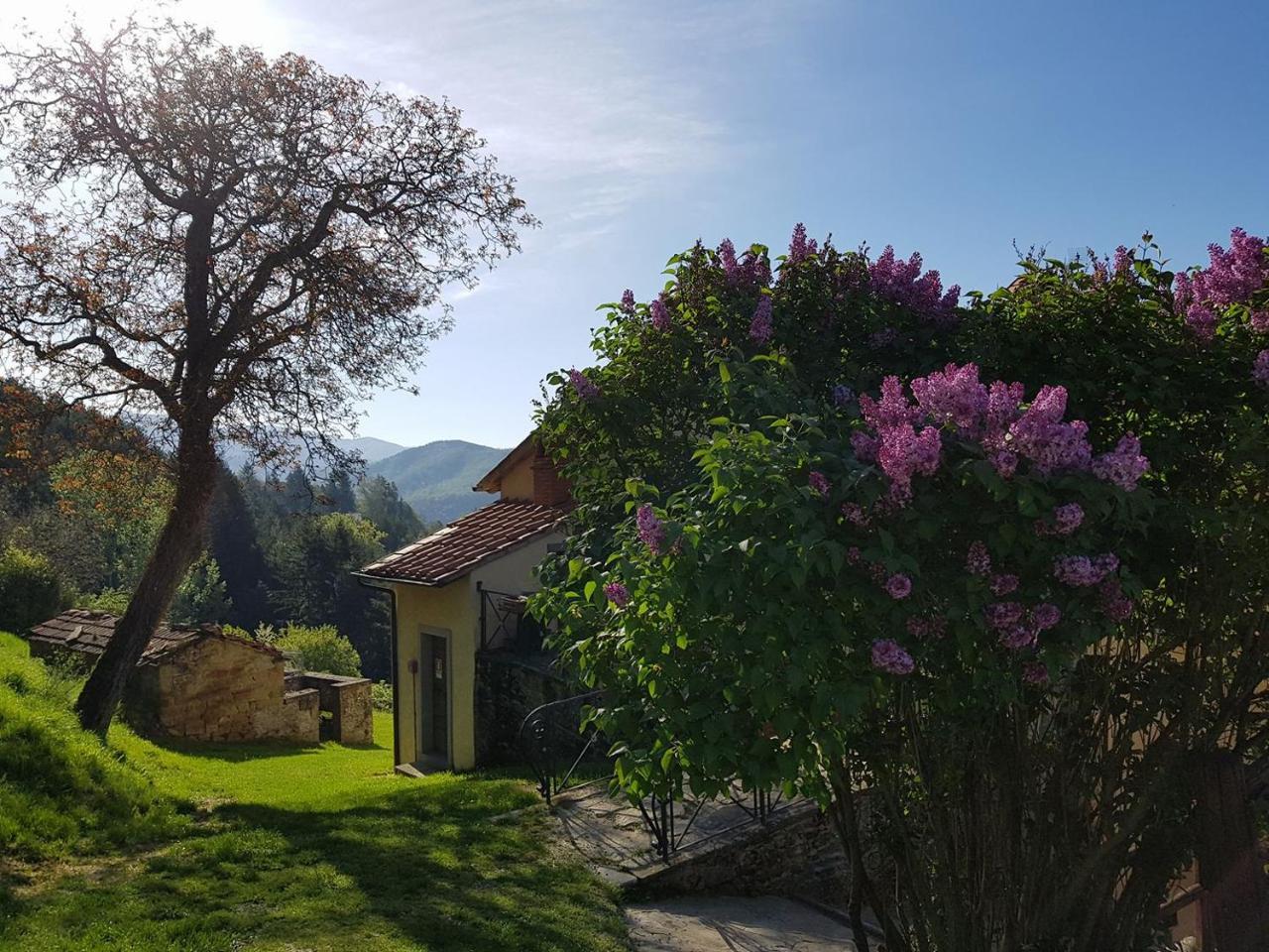 Borgo Tramonte Hotel Pratovecchio Buitenkant foto